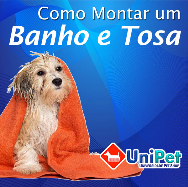 Curso Como Montar Um Banho E Tosa EADUnipet