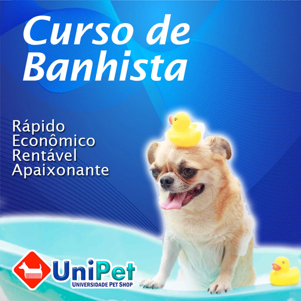 curso-profissionalizante-de-banhista-pet-alvim-eadunipet